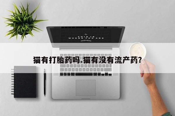 网上哪里可以买米非和米索，猫有打胎药吗.猫有没有流产药？