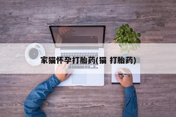 网上哪里可以买米非和米索，家猫怀孕打胎药(猫 打胎药)